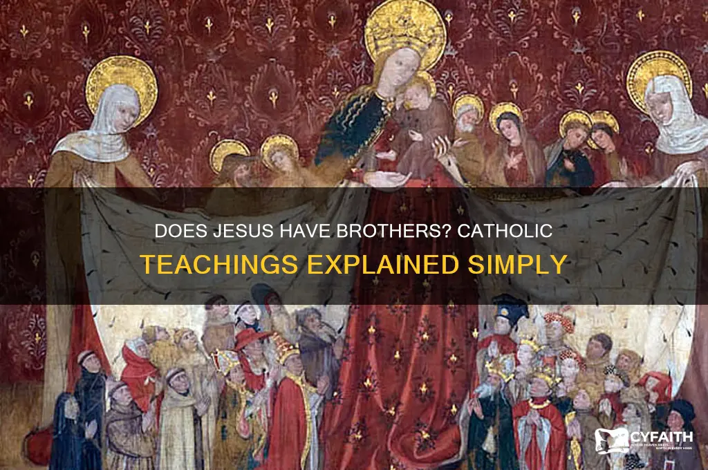does jesus have brothers catholic