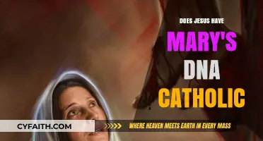 Jesus and Mary's DNA: Catholic Perspective