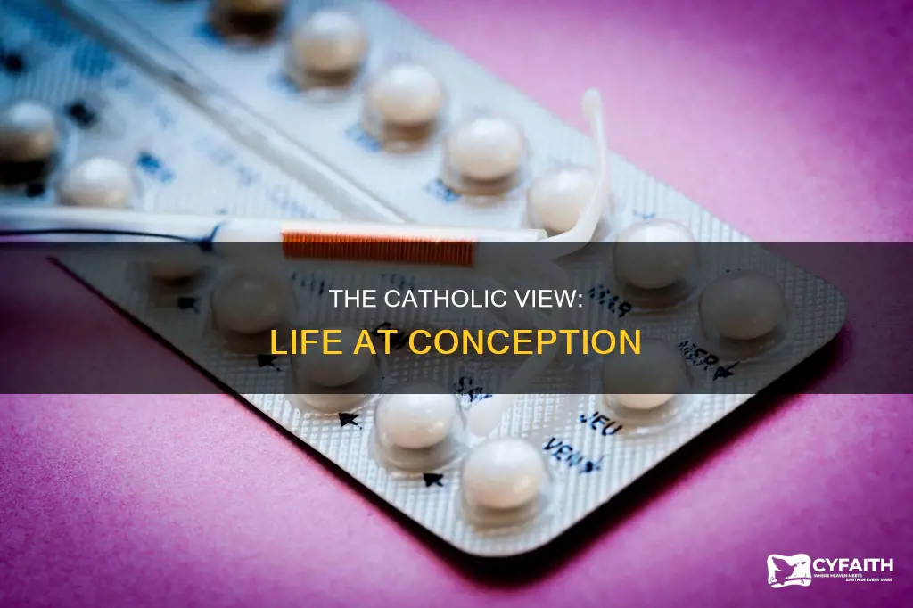 does life begins at conception catholic