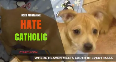 Montaigne's Complex Views: Did He Truly Dislike Catholicism?