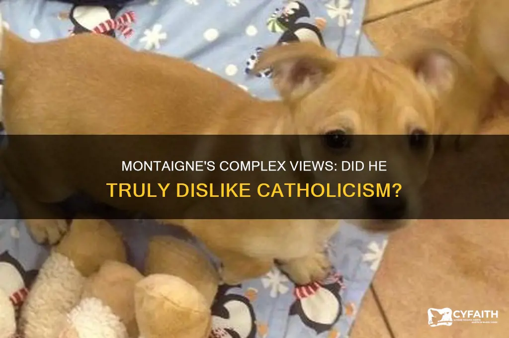 does montaigne hate catholic