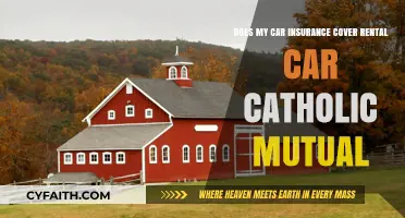 Does Car Insurance Cover Rental Cars with Catholic Mutual?