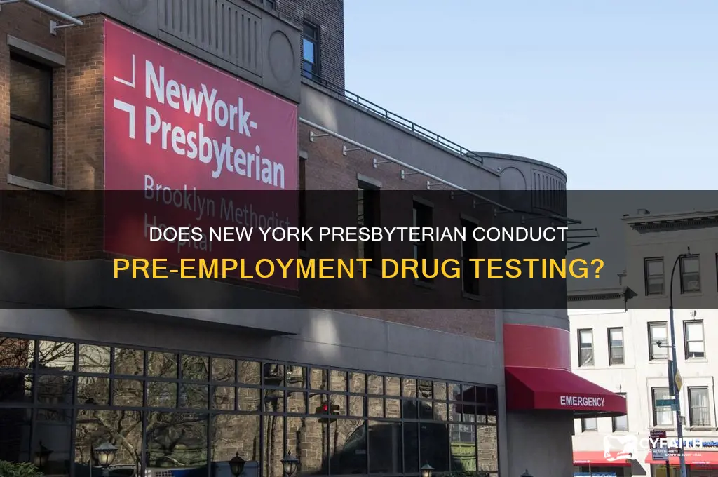 does new york presbyterian drug test