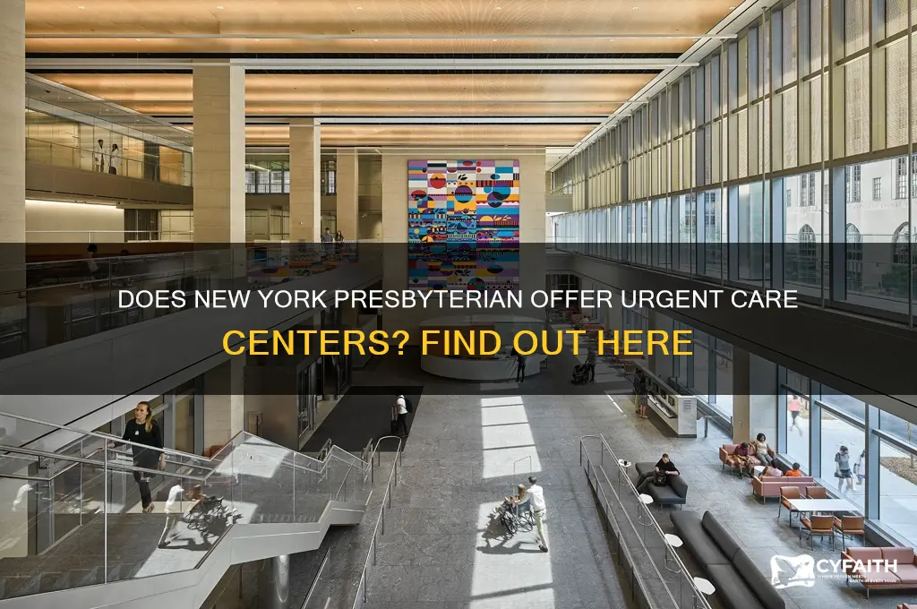does new york presbyterian have urgent care centers