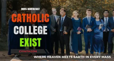 Does Northeast Catholic College Exist? Uncovering the Truth Behind the Name