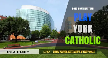 Northeastern vs. York Catholic: Analyzing Their Athletic Rivalry and Matchups