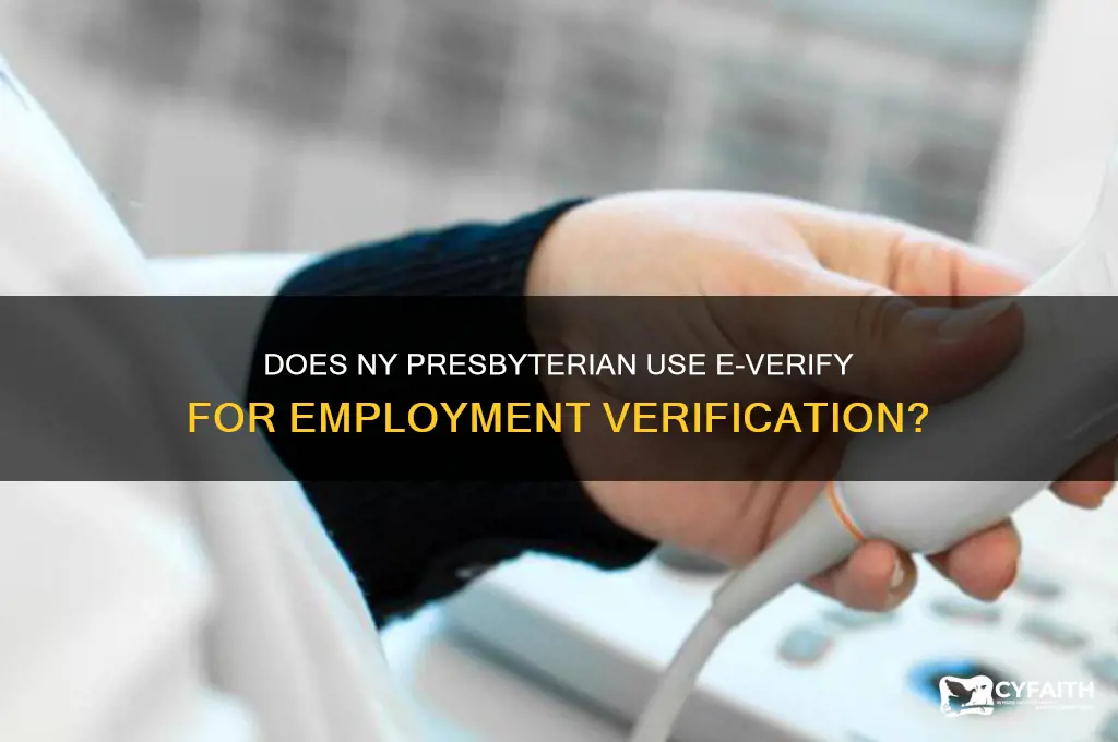 does ny presbyterian use e-verify