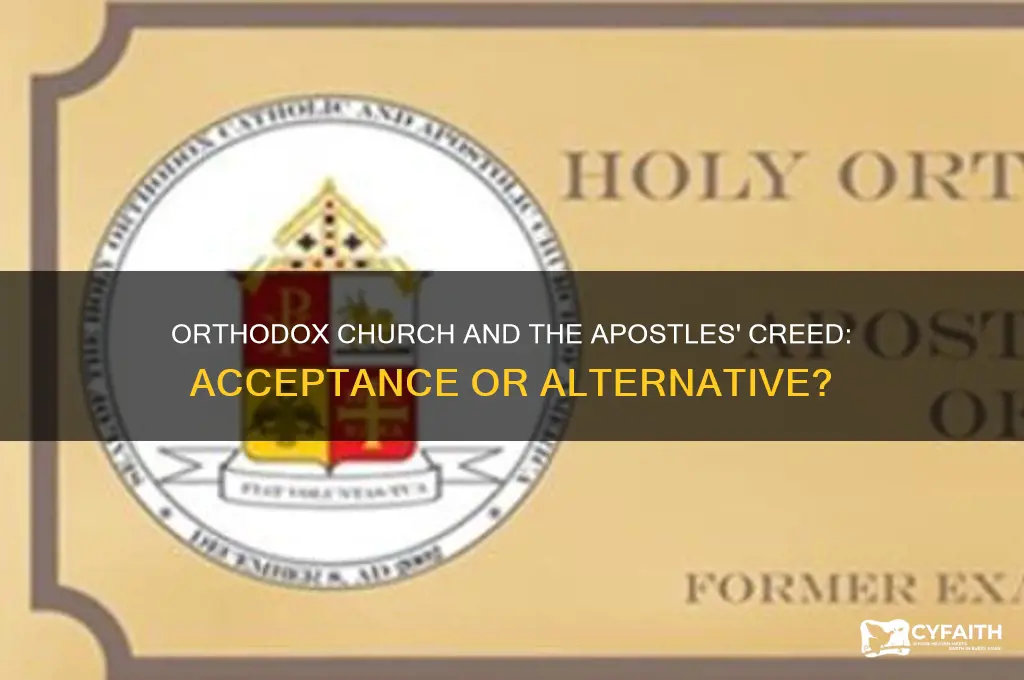 does orthodox church accept apostles creed