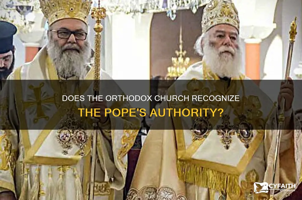 does orthodox church acknowledge the pope