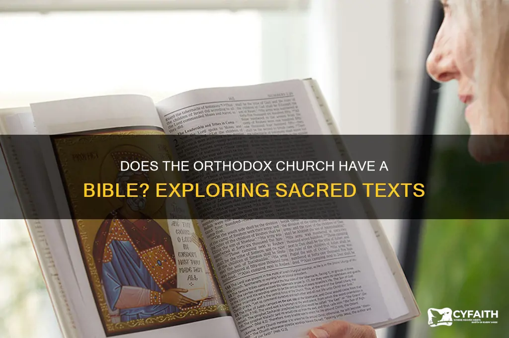does orthodox church have bible