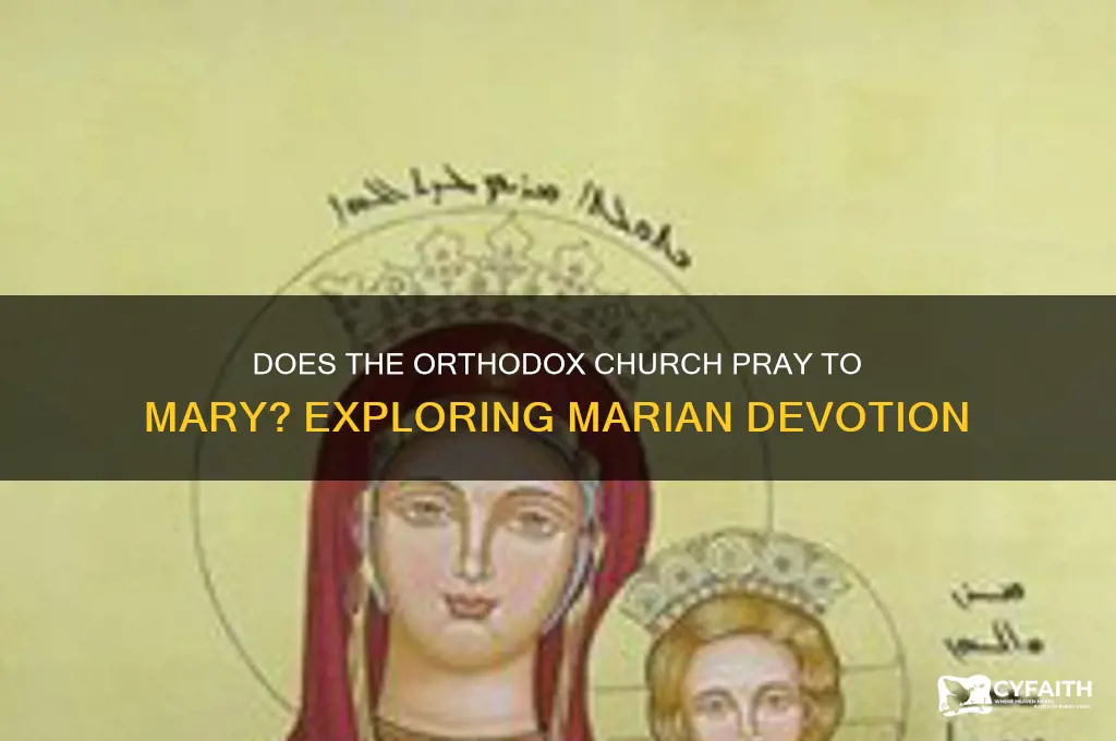 does orthodox church pray to mary