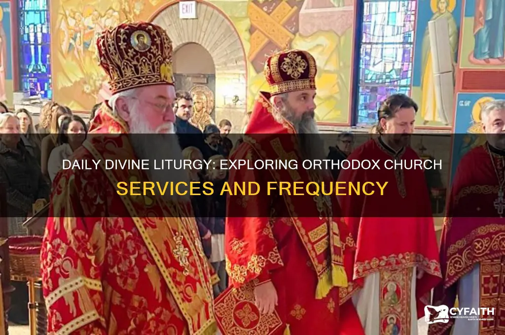 does orthodox have church every day