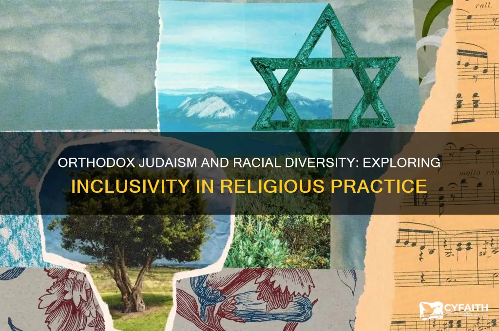 does orthodox judaism allow other races