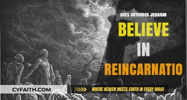 Orthodox Judaism and Reincarnation: Exploring Beliefs in the Afterlife