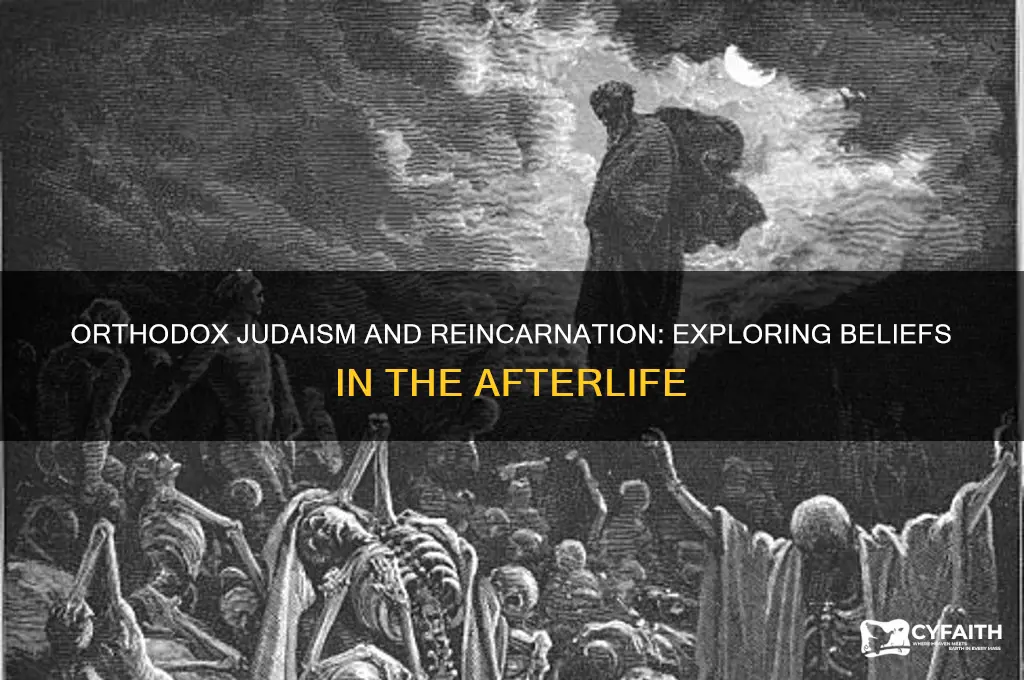 does orthodox judaism believe in reincarnation