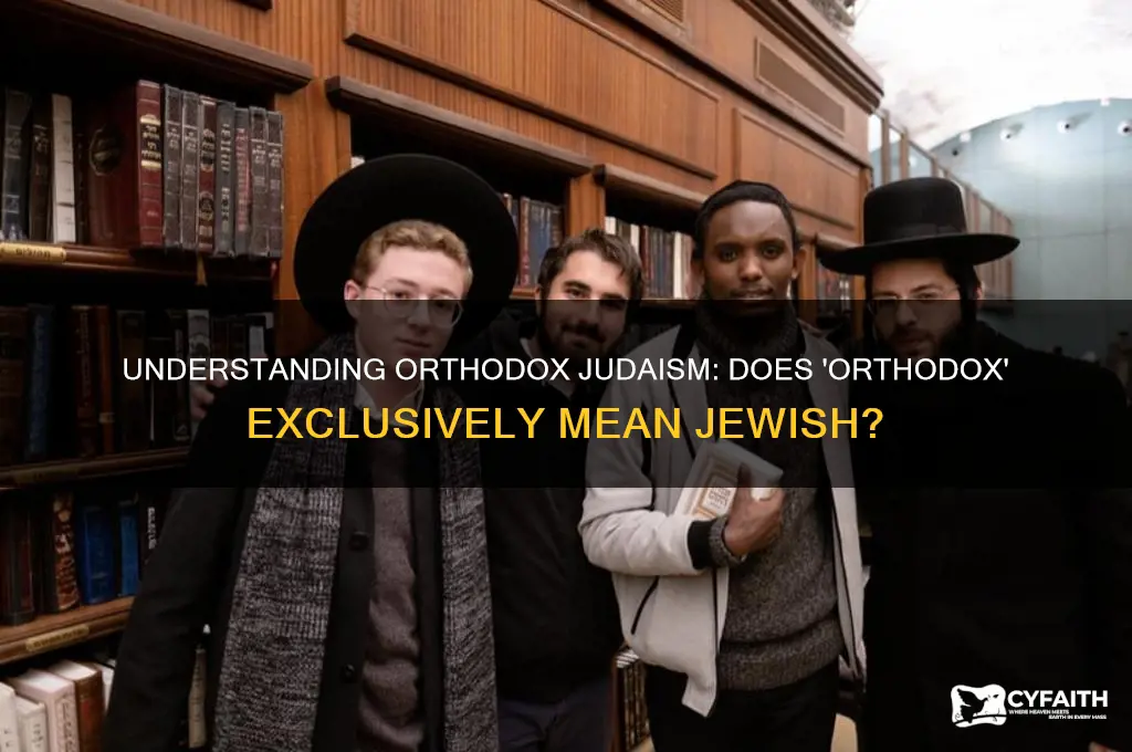 does orthodox mean jewish