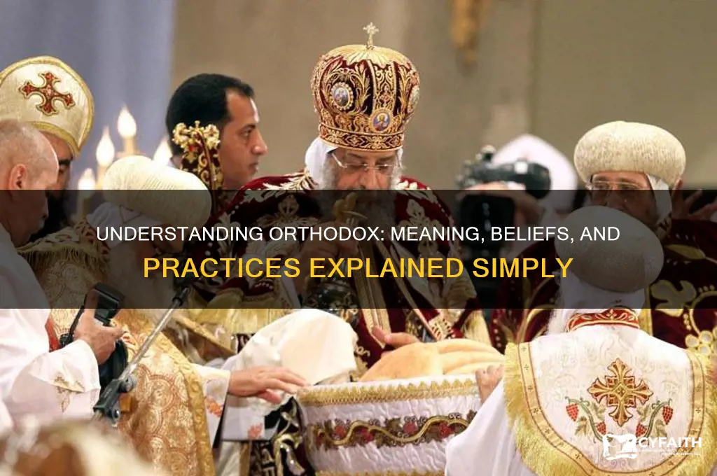 does orthodox mean