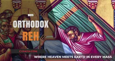 Exploring Orthodox Rehabilitation: Benefits, Methods, and Long-Term Success Rates
