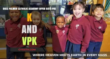 Palmer Catholic Academy: Pre-K and VPK Programs Availability Explained