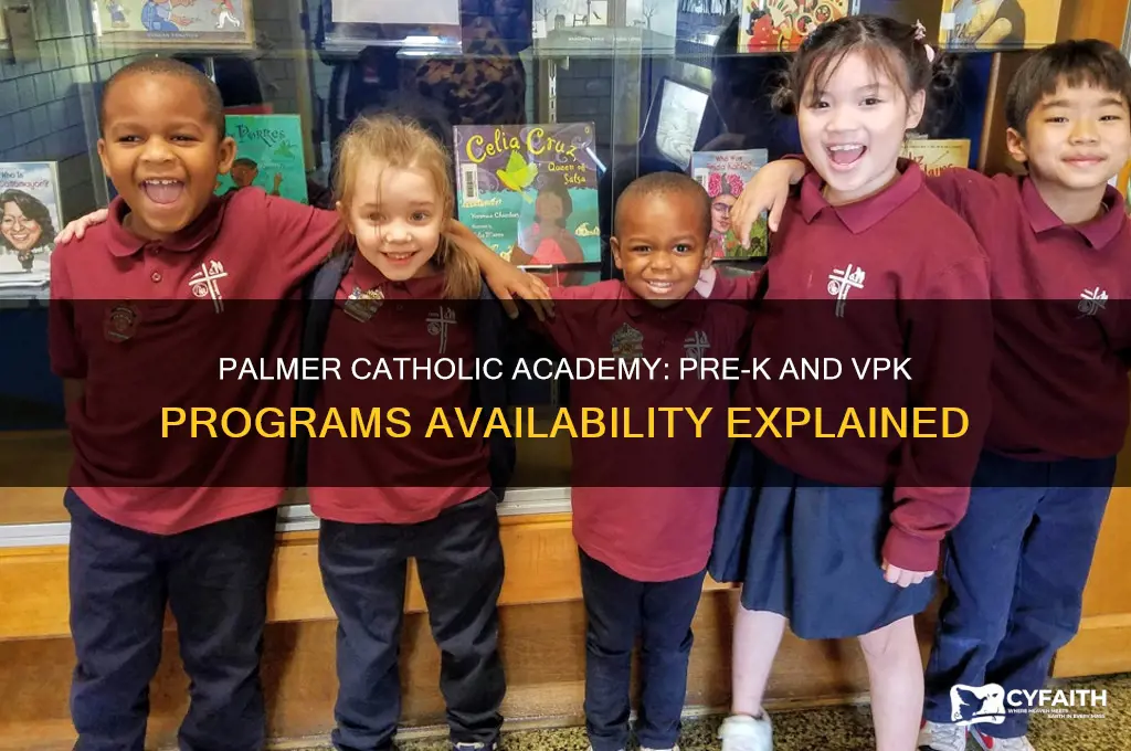 does palmer catholic academy offer both pre k and vpk
