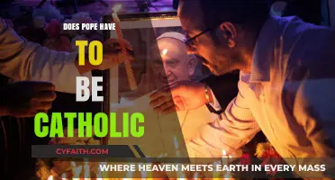 Pope and Catholicism: Are They Intertwined?