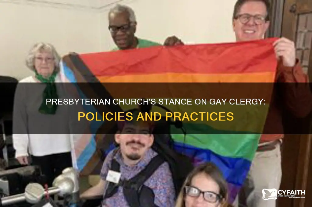 does presbyterian church allow gay clergy