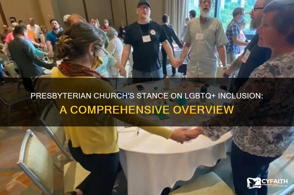 does presbyterian church ok gay