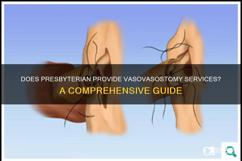 does presbyterian offer vasovasostomy