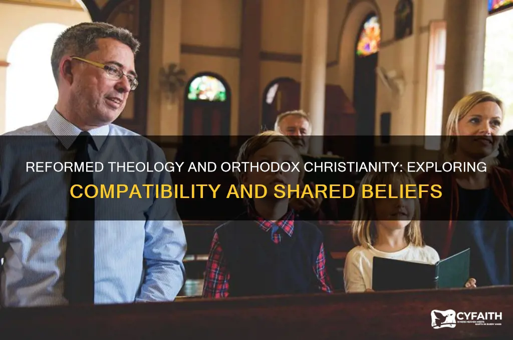 does reformed theology work with orthodox