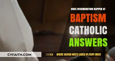 Baptismal Regeneration: Catholic Beliefs and Practices Explained