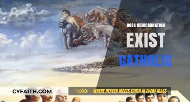 Does Reincarnation Align with Catholic Doctrine? Exploring Beliefs and Teachings