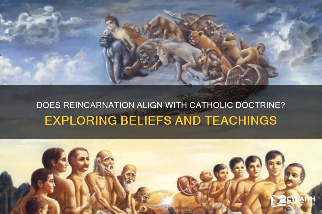 does reincarnation exist catholic