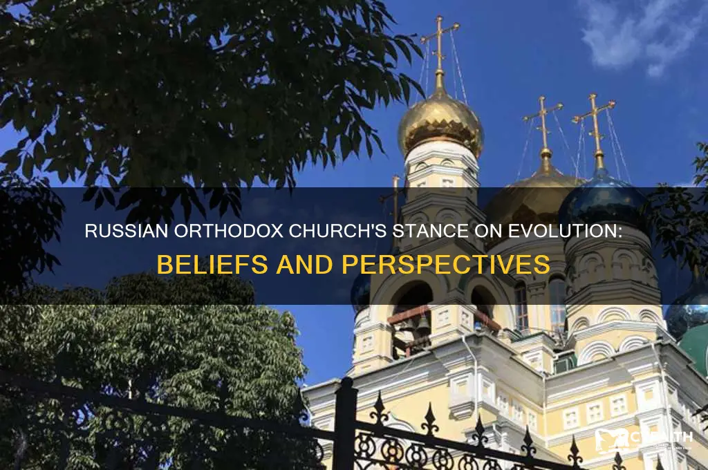 does russian orthodox believe in evolution