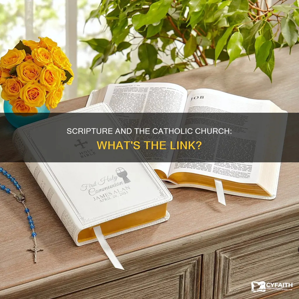 does scripture speak to us catholic