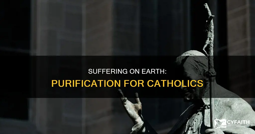 does suffering on earth purify us catholic