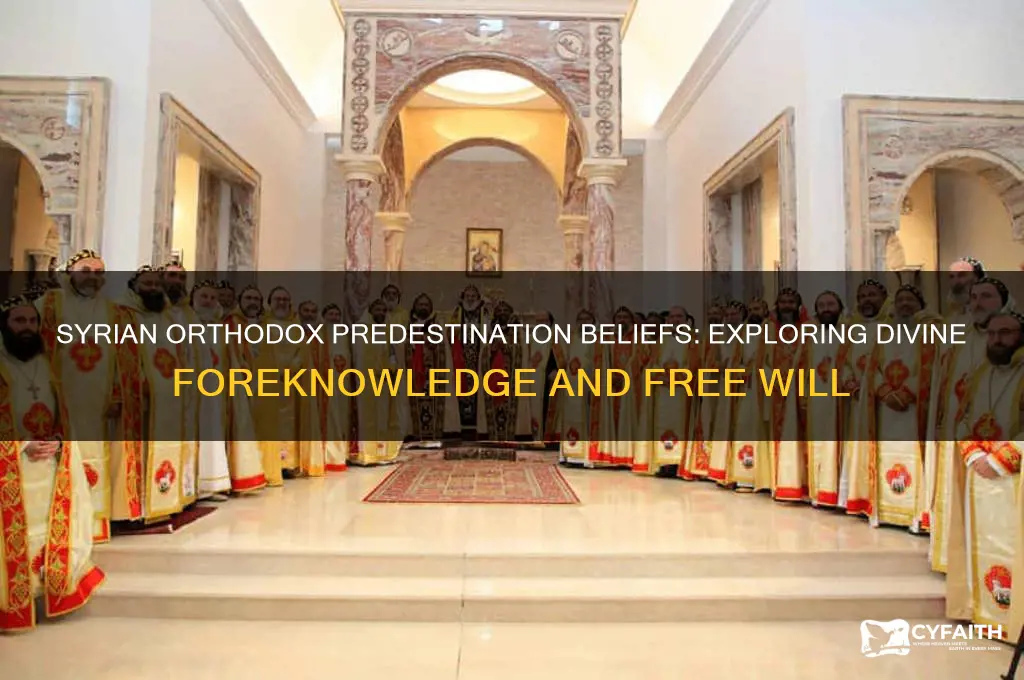 does syrian orthodox believe in predestination