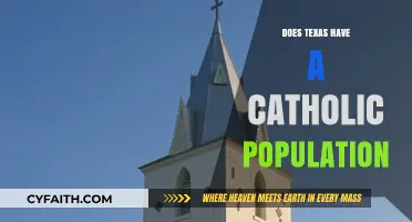 Texas: A Catholic Stronghold?