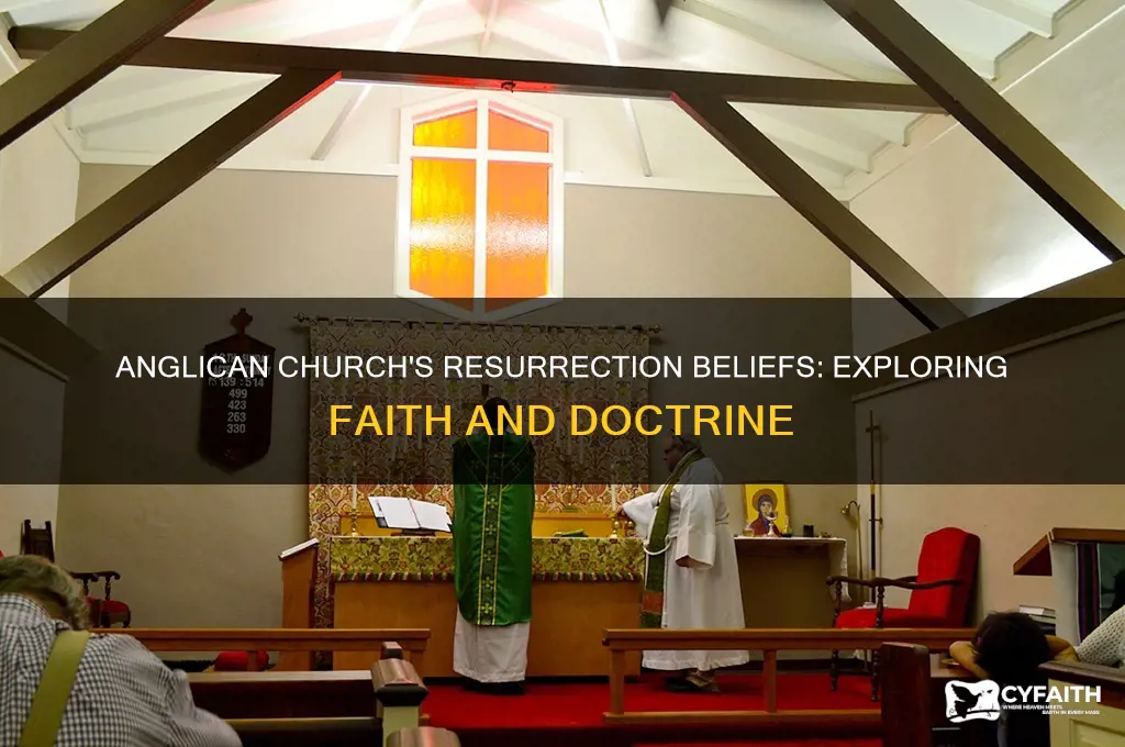 does the anglican church believe in resurrection