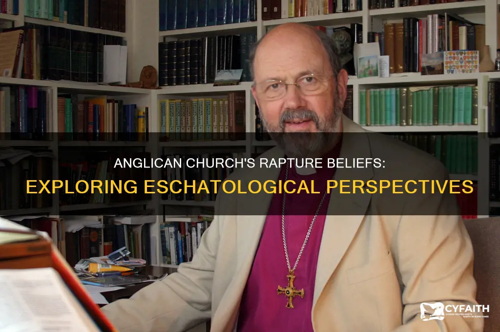 does the anglican church believe in the rapture