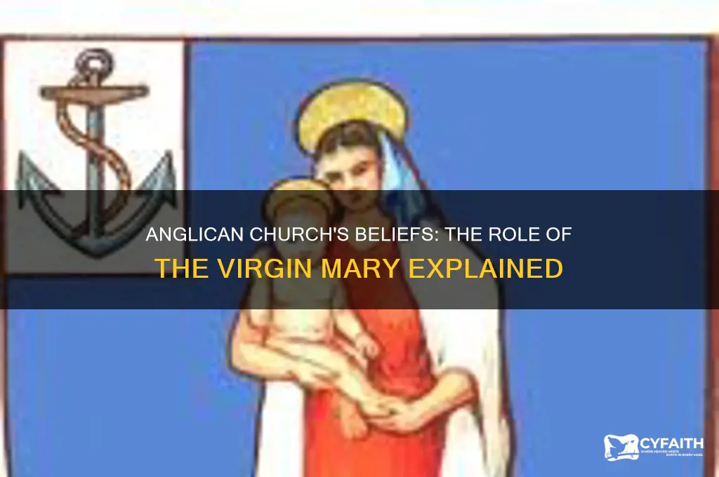 does the anglican church believe in the virgin mary