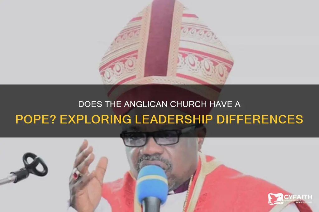 does the anglican church have a pope