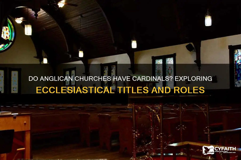 does the anglican church have cardinals