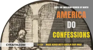 Does the Anglican Church of North America Practice Confession?