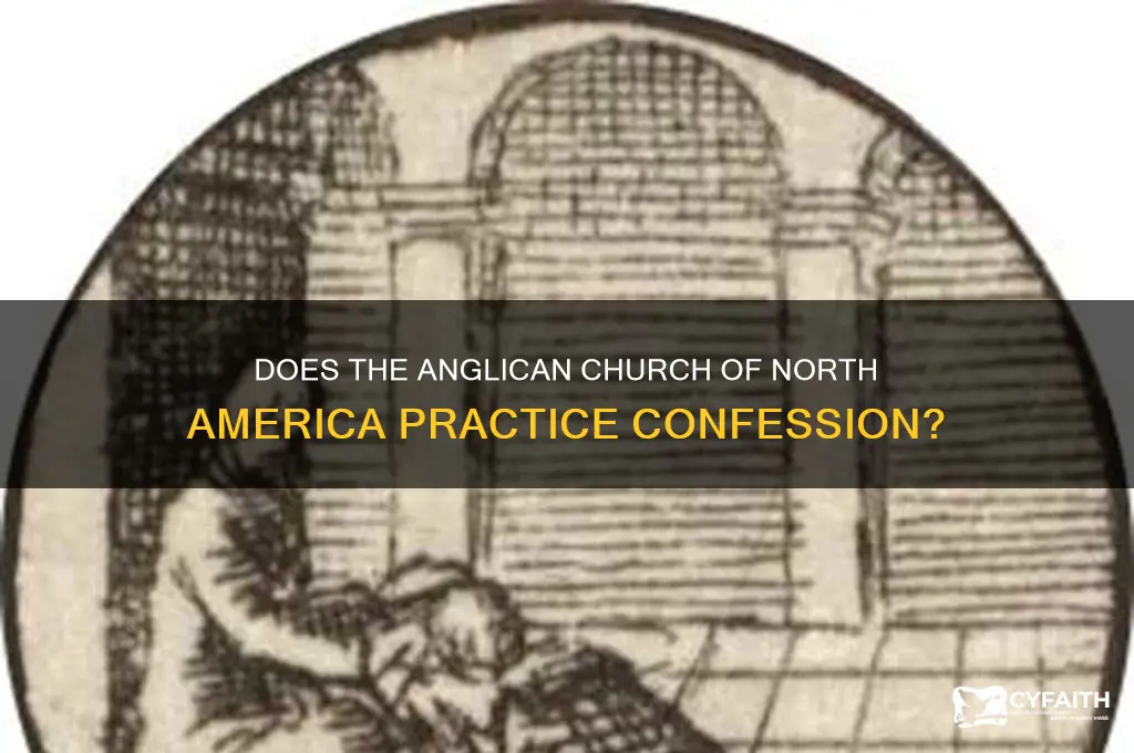 does the anglican church of north america do confessions