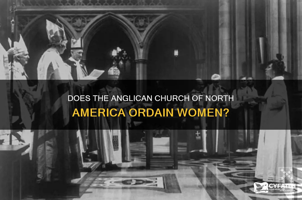 does the anglican church of north america ordain women