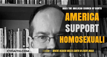 Anglican Church of North America's Stance on Homosexuality: An Exploration