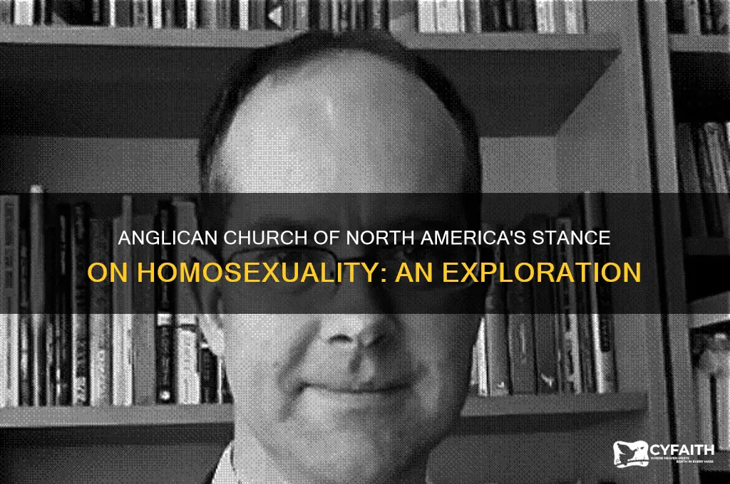 does the anglican church of north america support homosexuality