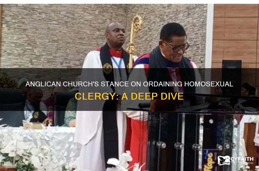 does the anglican church ordain homosexuals