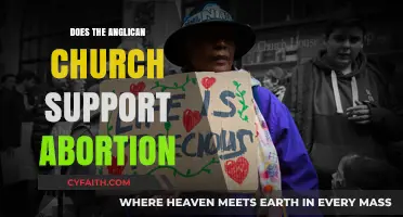 Anglican Church's Stance on Abortion: Beliefs, Policies, and Debates