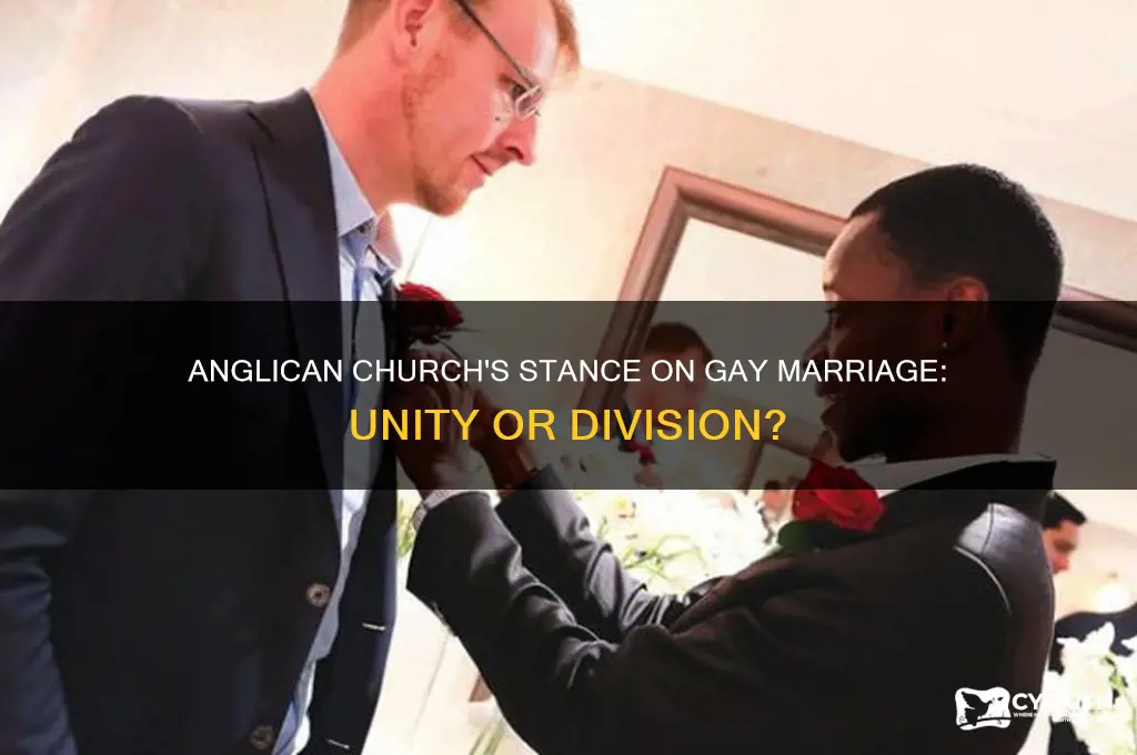 does the anglican church support gay marriage